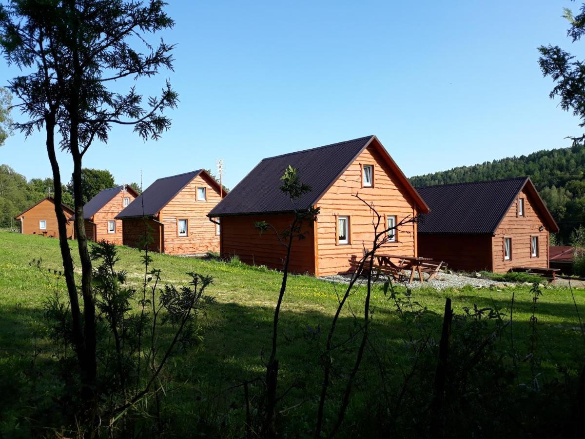 U Źródeł Strwiąża Ustrzyki Dolne Exterior foto